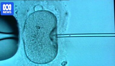 Changes to Victorian law to provide 'tougher scrutiny' after Monash IVF bungles