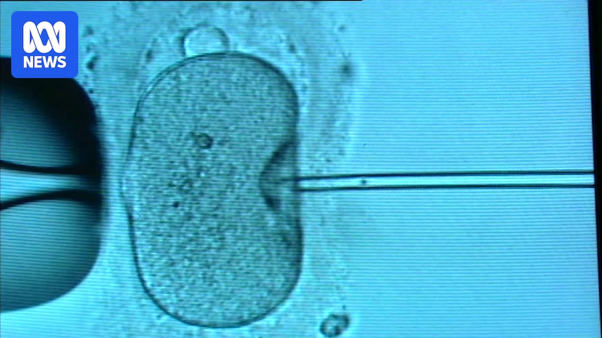 Changes to Victorian law to provide 'tougher scrutiny' after Monash IVF bungles
