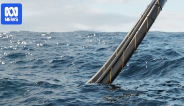 Marinus Link is in the 'national interest' despite cost, economist Saul Eslake says