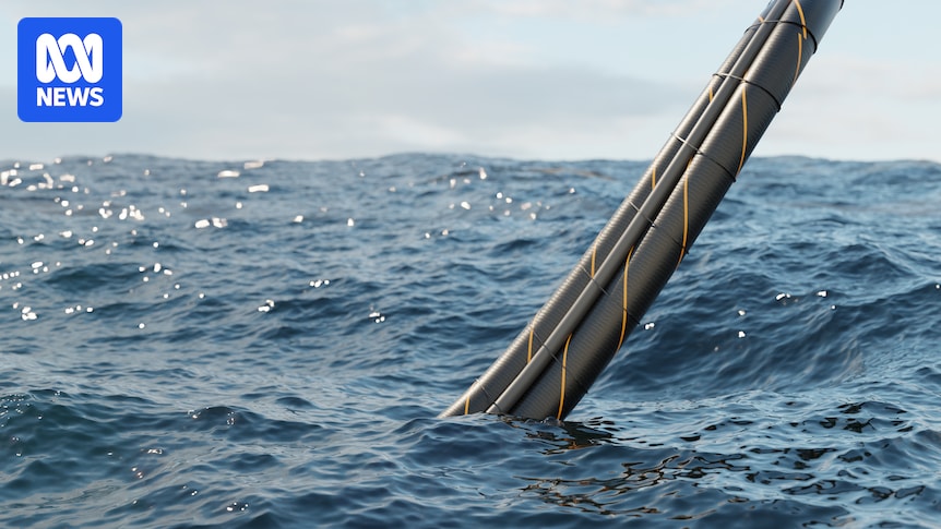 Marinus Link is in the 'national interest' despite cost, economist Saul Eslake says