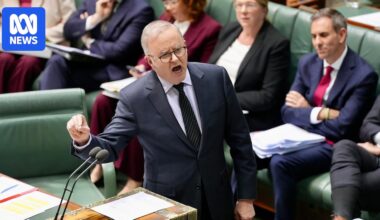 Labor eyes tougher laws to enforce social media ban for children