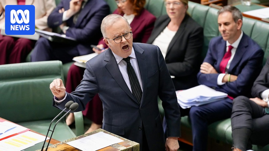 Labor eyes tougher laws to enforce social media ban for children