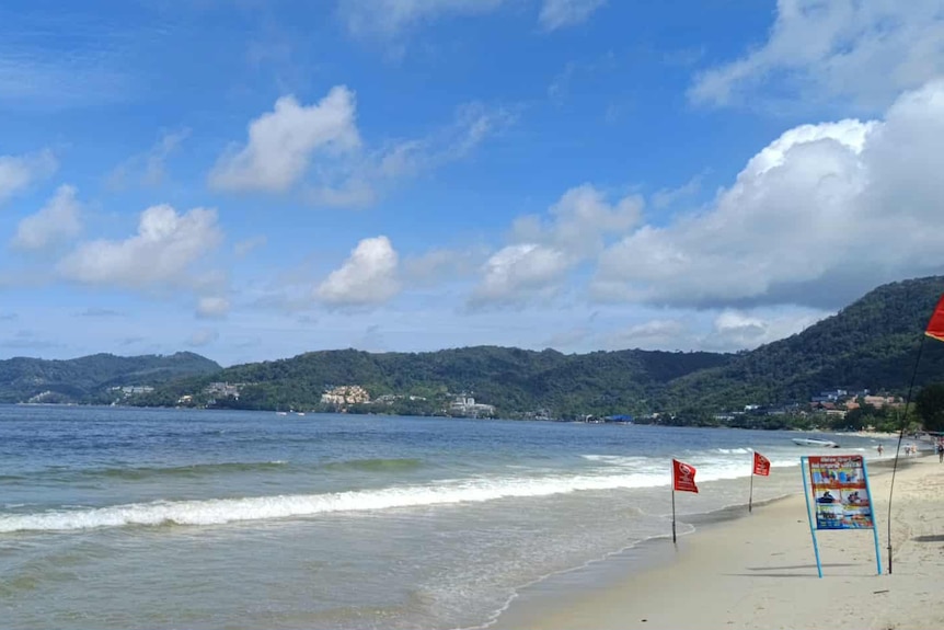 A beach on an island showing swim flags and green canopies and hills.