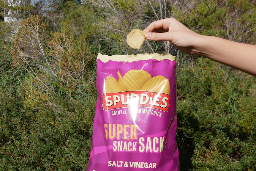 A hand reaching into a packet of spuddies chips; a bowl of spuddies chips.