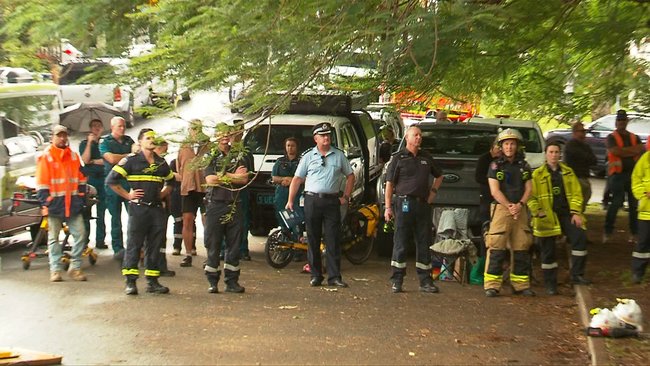 Police, firefighters and paramedics gathered beneath the tree during the lengthy operation.