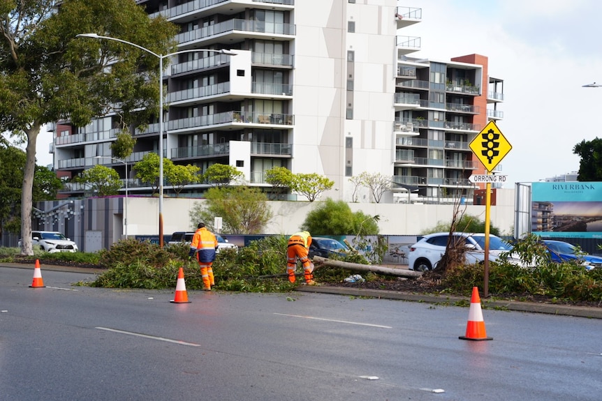 Men in orange uniform removing trees from a road.
