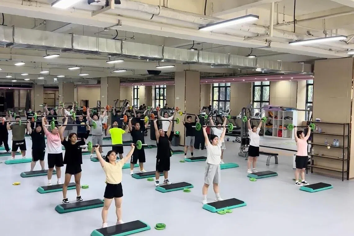 exercise, training, camp