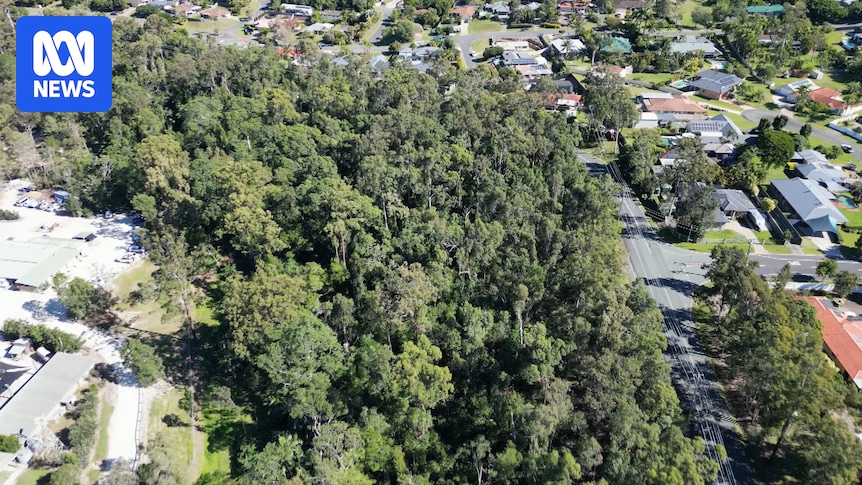 The bushland where a Tasmanian Devil is believed to be missing