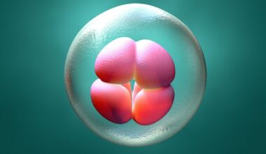 One Missing Gene Would Stop Human Embryos From Forming Properly, Study Finds : ScienceAlert