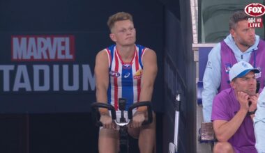 AFL 2026: Why was Adam Treloar benched for third quarter, Western Bulldogs lose to Adelaide Crows, Luke Beveridge presser, retirement, calf injury