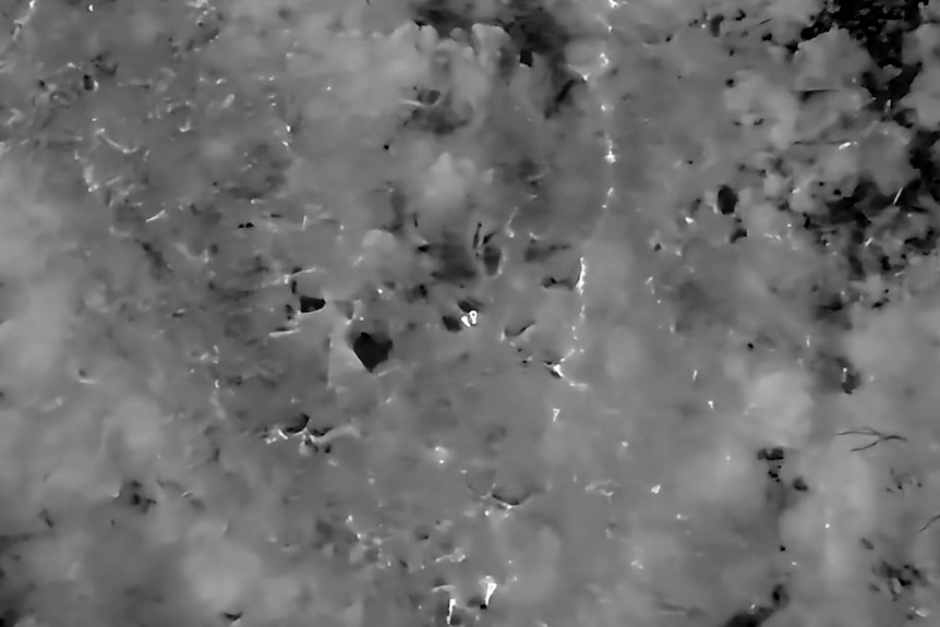 Two hikers are highlighted in white in thermal camera drone footage.