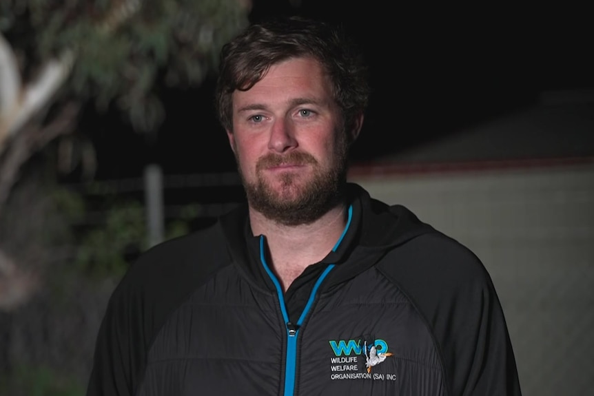 A bearded man called Justin Biddle from Wildlife Welfare Organisation SA on a dark night