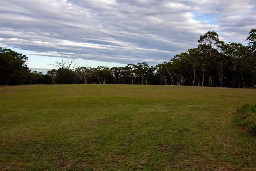 Fred Caterson Reserve