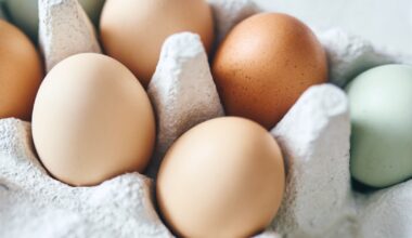 Is it Healthy to Eat Eggs Every Day? Dietitians Weigh In