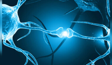 Study Reveals How Excess Iron in Neurons Weakens Brain Defences Against Stressors, ETHealthworld