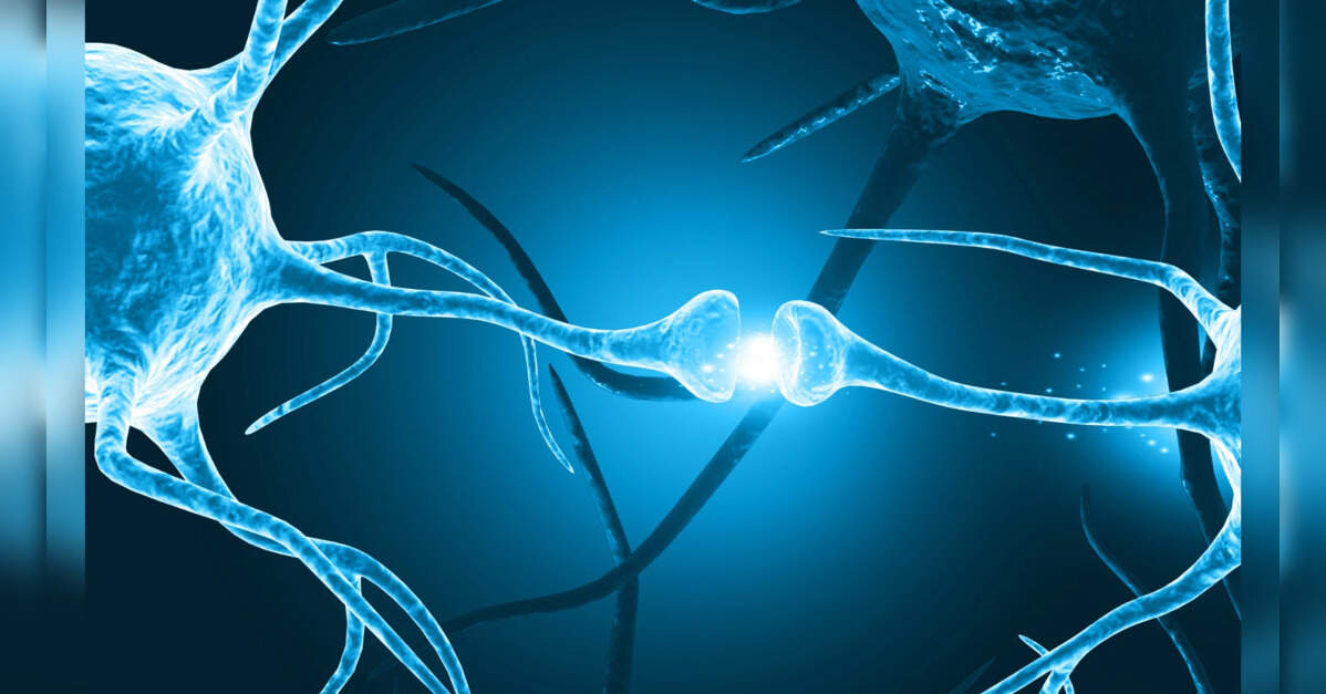 Study Reveals How Excess Iron in Neurons Weakens Brain Defences Against Stressors, ETHealthworld