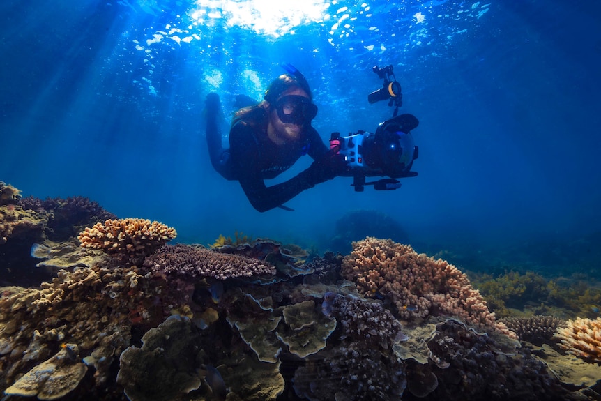 A man scuba diving.