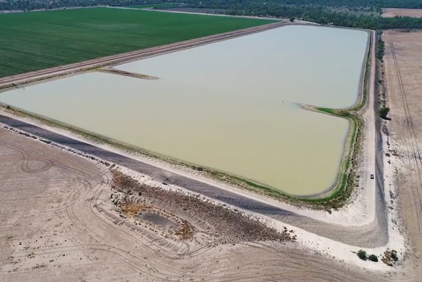 A full water storage next to an irrigated crop.