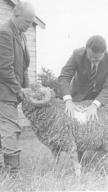 A black and white photo of two men in suits with a sheep.