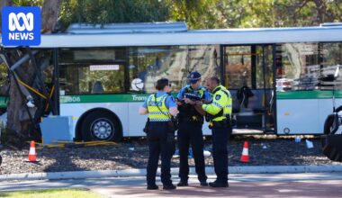 Transperth bus crashes into tree in Wanneroo in Perth's north, multiple passengers hurt