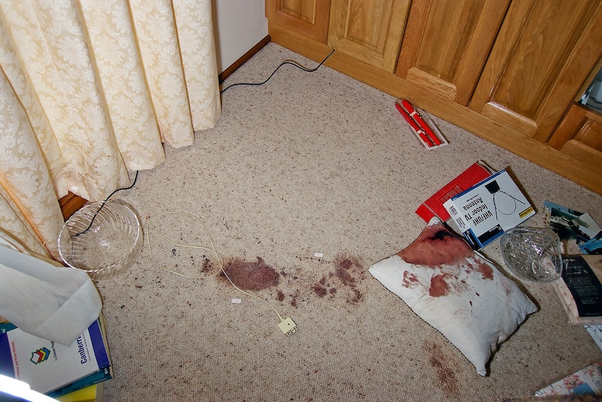 A patch of dried blood on the carpet with a blood-stained cushion on the floor. 