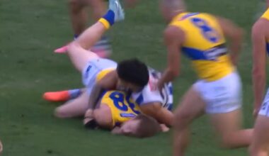 AFL 2026: Paul Curtis tribunal hearing, live coverage, arms pinned tackle, Hamish Davis concussion, MRO, North Melbourne appeal