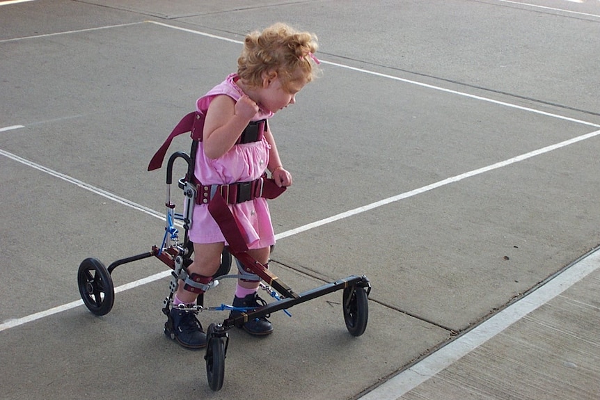 A young girl or 2 or 3 years old in a pink dress learning to walk strapped into a frame with four wheels