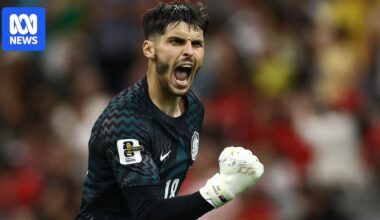 World Cup: Pat Beach's Socceroos dream is Mat Ryan's nightmare, and Mark Schwarzer can relate to both