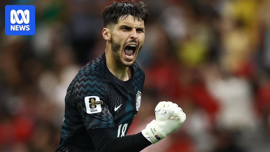 World Cup: Pat Beach's Socceroos dream is Mat Ryan's nightmare, and Mark Schwarzer can relate to both