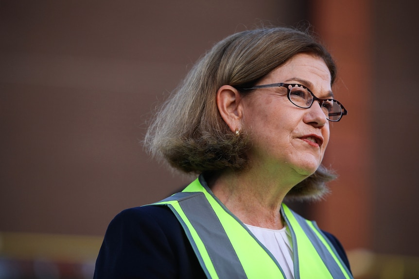 A head and shoulders shot of WA Health Minister Meredith Hammat speaking wearing a hi-vis yellow vest and spectacles.