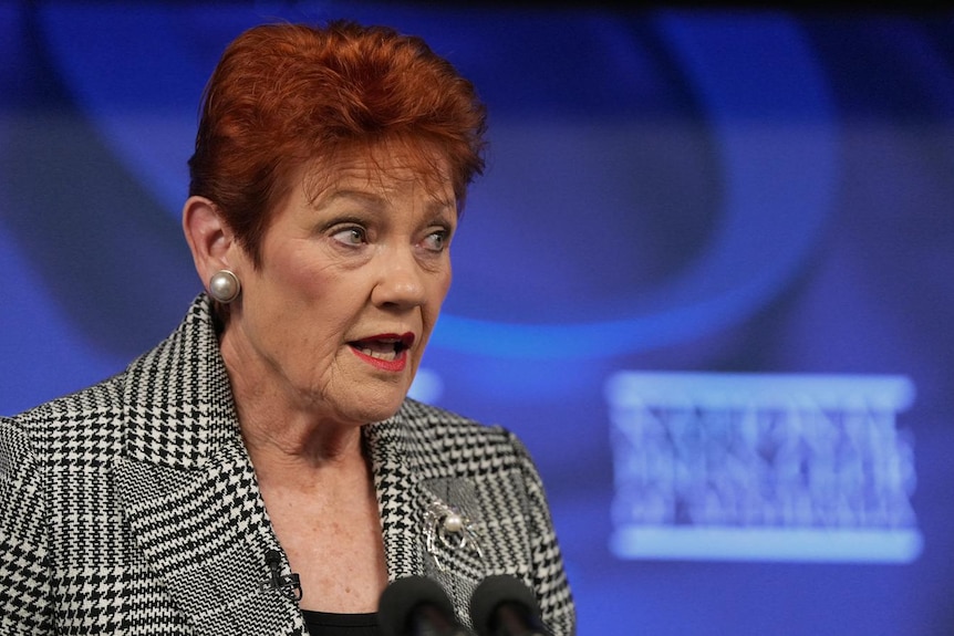 Pauline Hanson speaks into microphones.