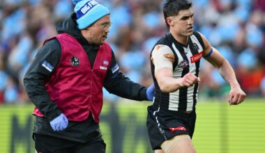 Medical room: The full AFL injury list, R14