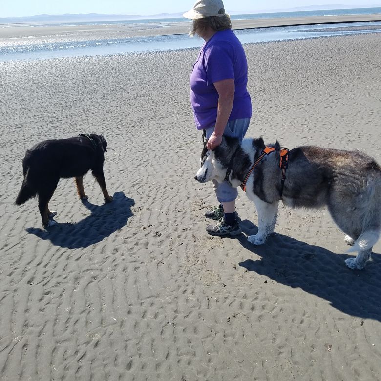 Finding that extra weight made it harder for her to do things she enjoyed like walking her dogs, Mary Abrahamson began using a compounded GLP-1 drug for weight loss two years ago.