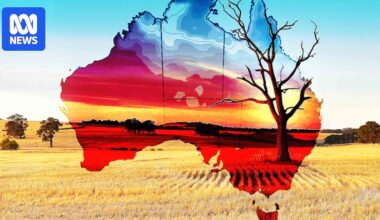 El Niño Q&A live: Experts answer your questions as BOM declares weather event