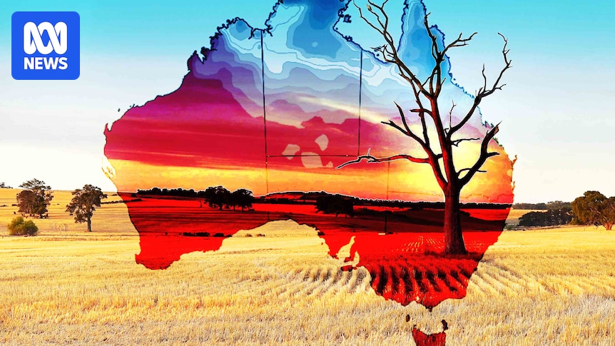 El Niño Q&A live: Experts answer your questions as BOM declares weather event