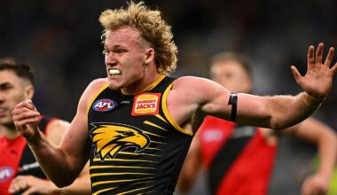West Coast Eagles coach Andrew McQualter says AFL could investigate fan who threw lemon at Reuben Ginbey