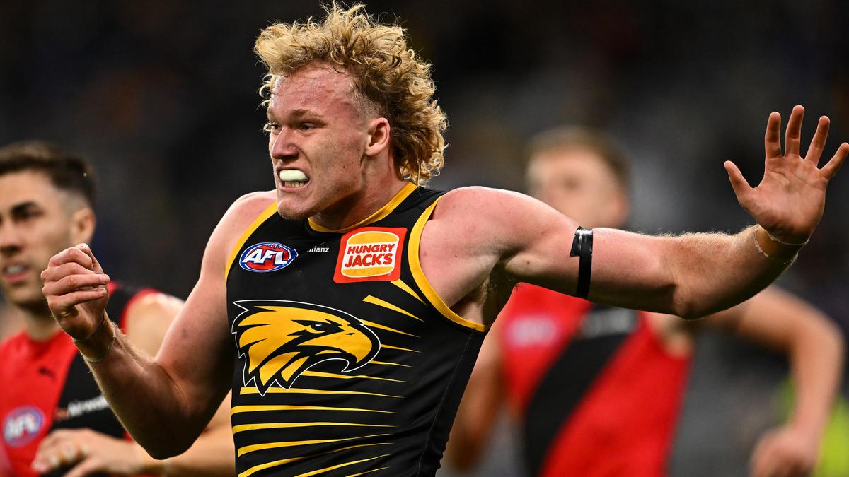 West Coast Eagles coach Andrew McQualter says AFL could investigate fan who threw lemon at Reuben Ginbey