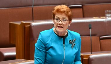 View from The Hill: Could One Nation be the unofficial opposition at the 2028 poll?