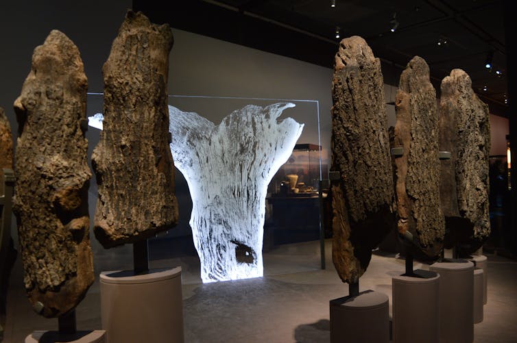 Seahenge display at the British Museum's World Of Stonehenge exhibition, 2022.