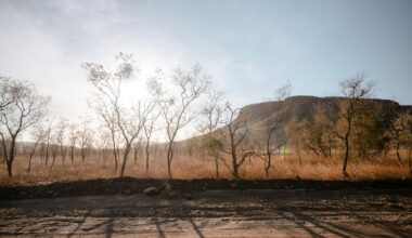 Expert commentary: El Niño - CSIRO