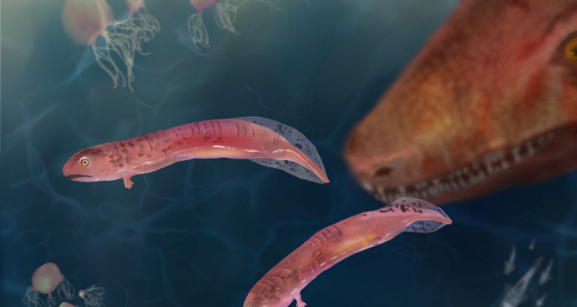 Ancient crocodile-like predators rewrite current knowledge of how animals adapted to the land