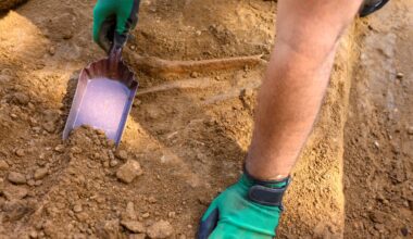A person digs into dirt with a small shovel.