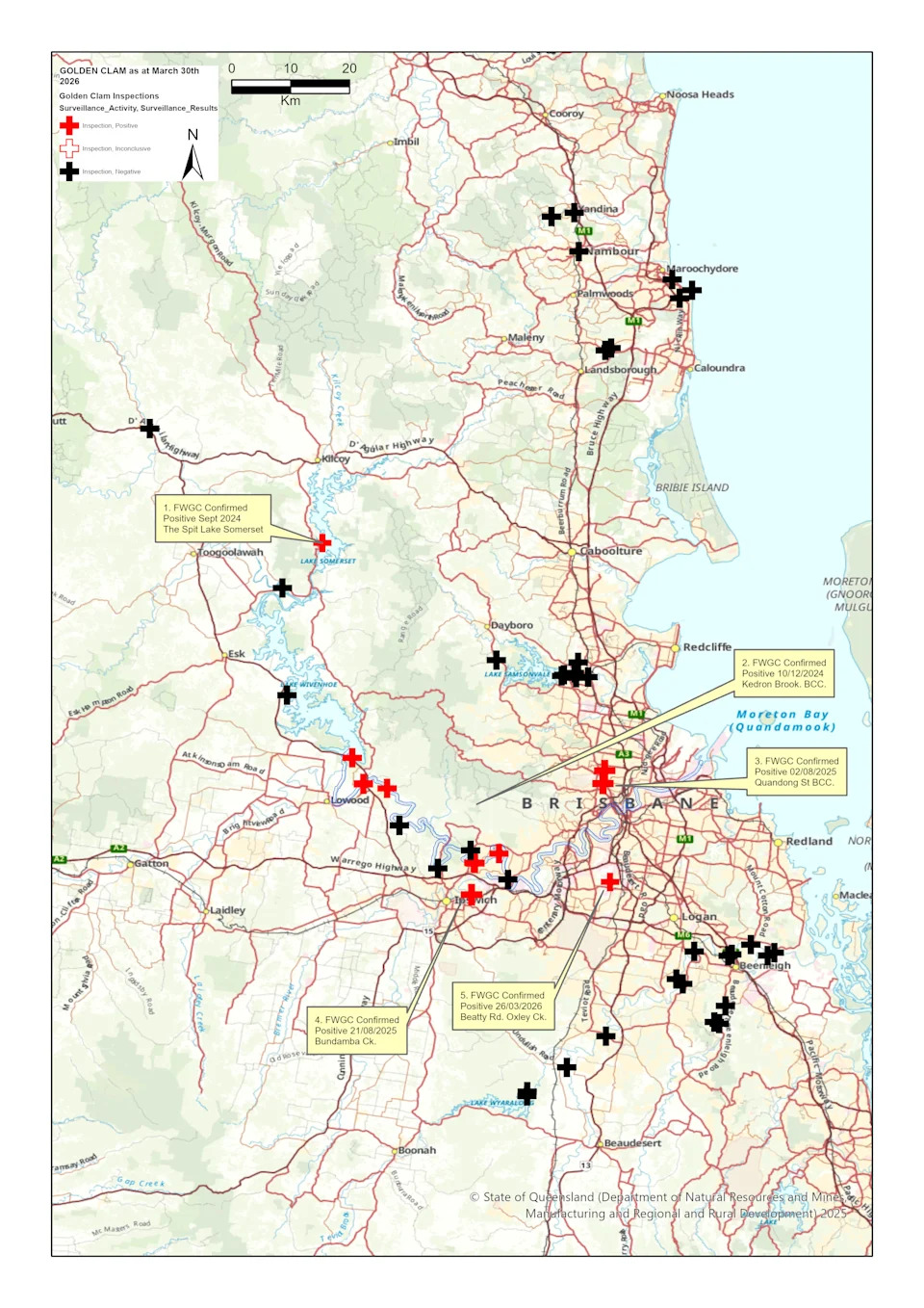A map showing Golden Clam detection sites in southeast Queensland. Red crosses indicate a positive identification, black crosses mean the inspection proved negative.