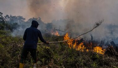Australia warns El Nino weather pattern set to be strongest in decades | Weather News