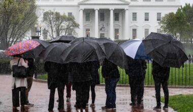 UFC Reveals White House Weather Backup Plan
