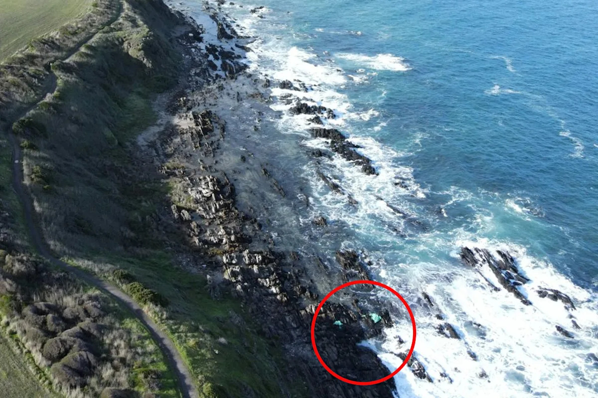 Discovery off headland highlights growing problem plaguing Australia's oceans: 'Massive'
