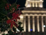 Low-light samples, telephoto camera (3x) - 70mm, f/2.5, ISO 640, 1/9s (4608x3456px) - Honor Magic V6 review
