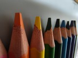 Close-up samples, ultrawide camera (0.6x) - 14mm, f/2.2, ISO 794, 1/33s (3264x2448px) - Infinix GT 50 Pro review