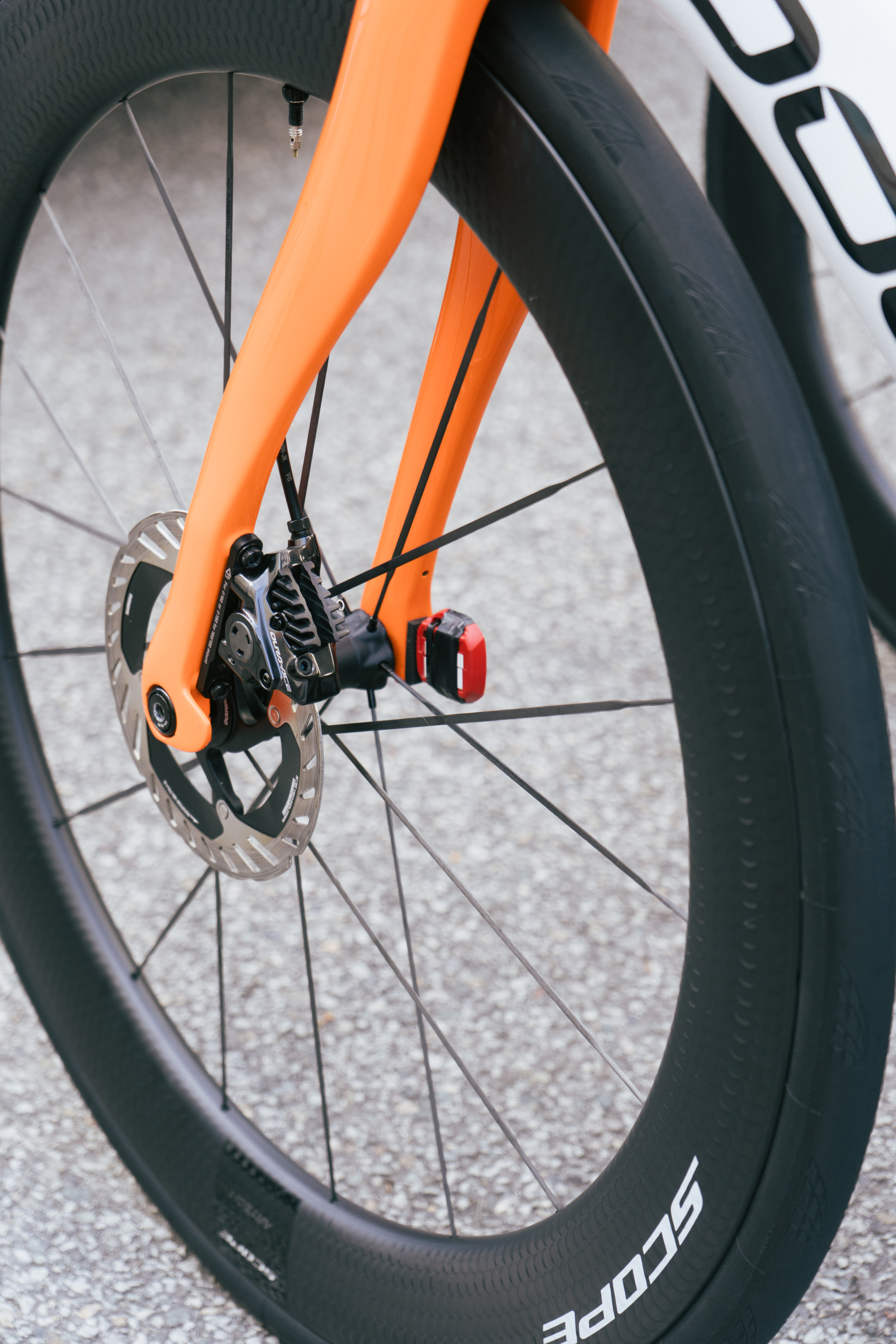 Dogma F