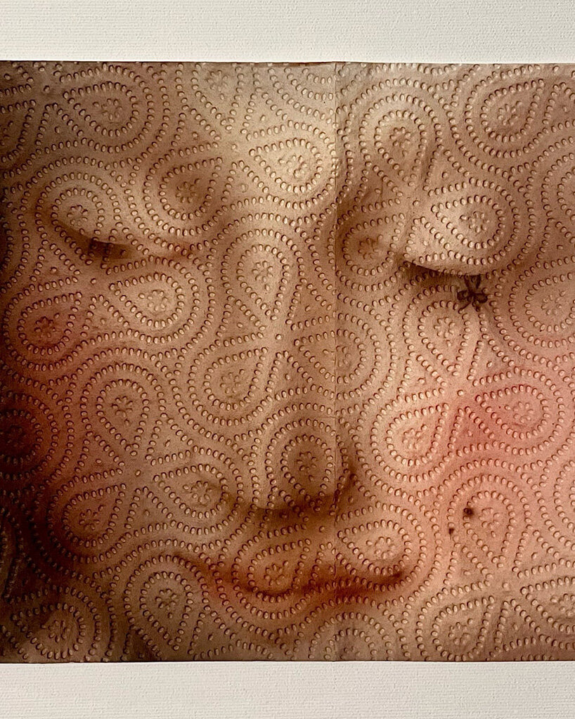 airbrushed onto paper towels, these fragile artworks explore memory and perception - 2